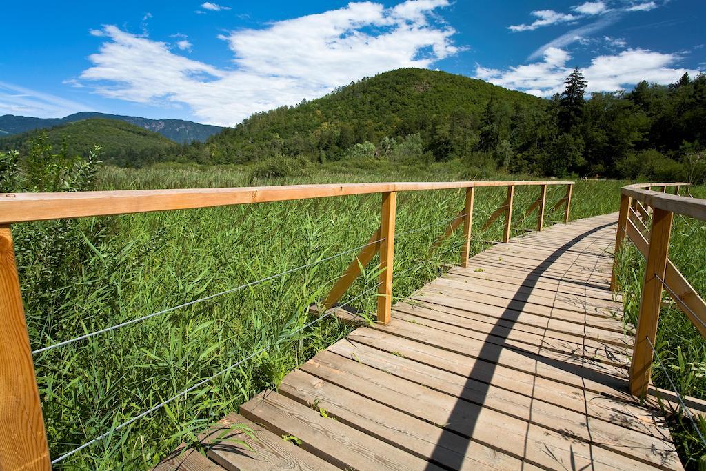 Residence Haus Kalterersee Калдаро Екстериор снимка
